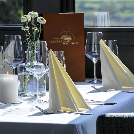 Elbterrasse Wachwitz 3* דרזדן