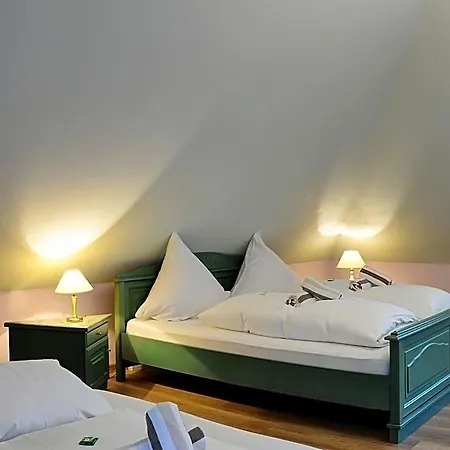 Elbterrasse Wachwitz Hotel