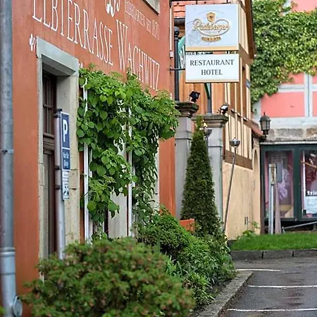 Hotel Elbterrasse Wachwitz 3*