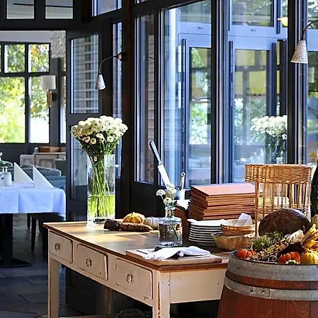 Hotel Elbterrasse Wachwitz 3*