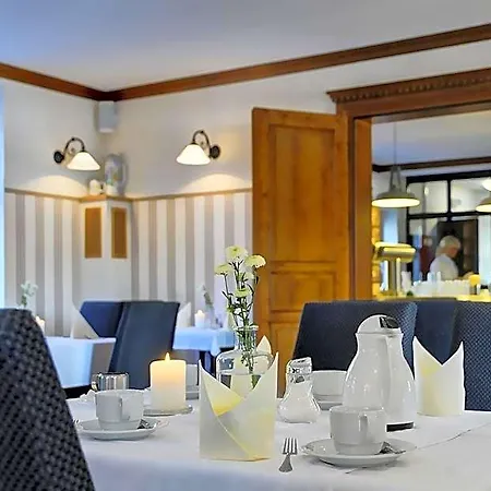 Hotel Elbterrasse Wachwitz 3*