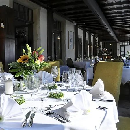 Elbterrasse Wachwitz