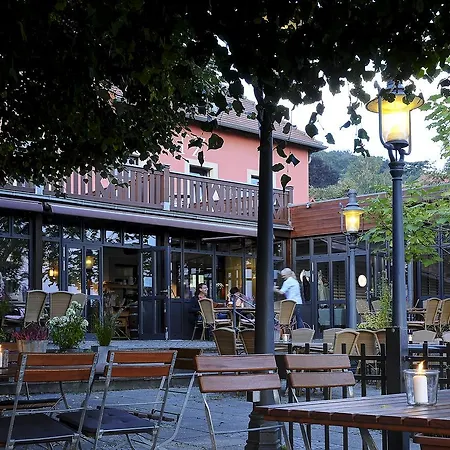 Elbterrasse Wachwitz Hotel 3*