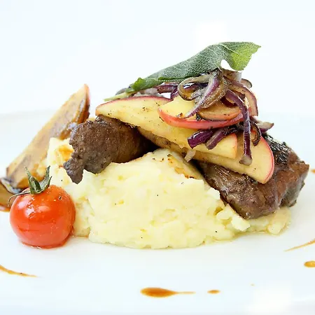 Hotel Elbterrasse Wachwitz Drezno