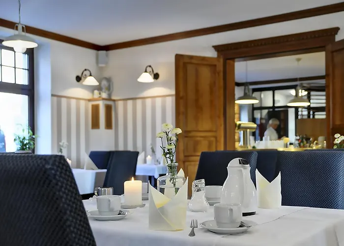 Отель Elbterrasse Wachwitz