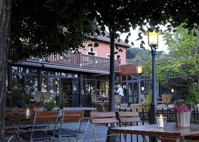 Elbterrasse Wachwitz Отель 3*