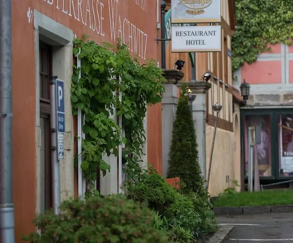 Elbterrasse Wachwitz 3* Дрезден